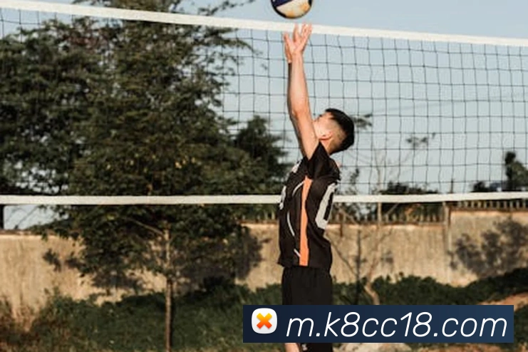 k8凯发天生赢家官网APP 封面图